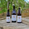 Mixed Sparkling Ciders - Charrington's Drinks