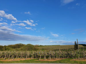 Farm walks map summer skies